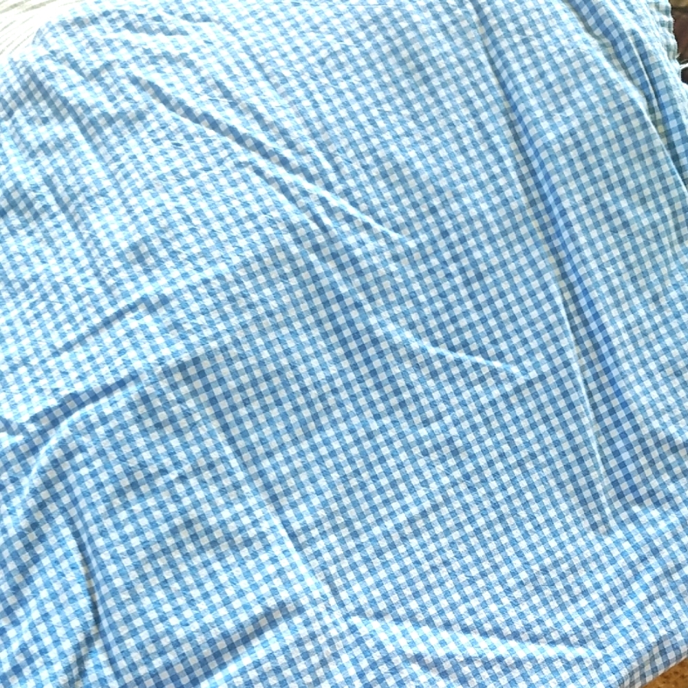 Pottery Barn Kids Blue Gingham Duvet Cover